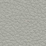 UPHOLSTERY CLEANING 6 leather